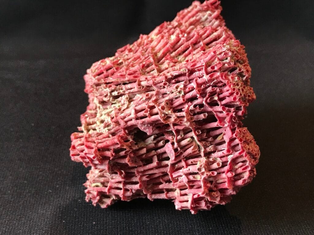 saharagems corals natural indonesia 11