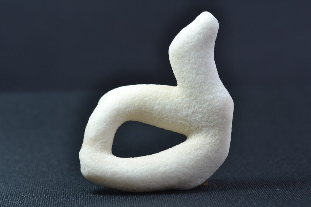 saharagems corals white red indonesia11 white red indonesia natural indonesia 2