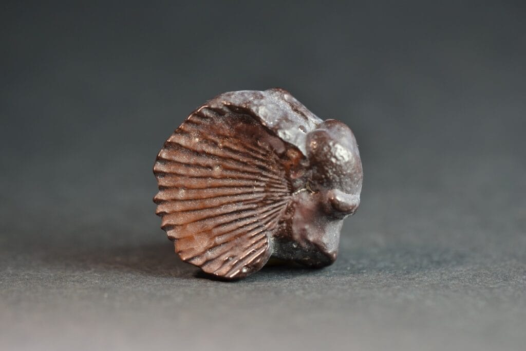 saharagems desert stones art 6