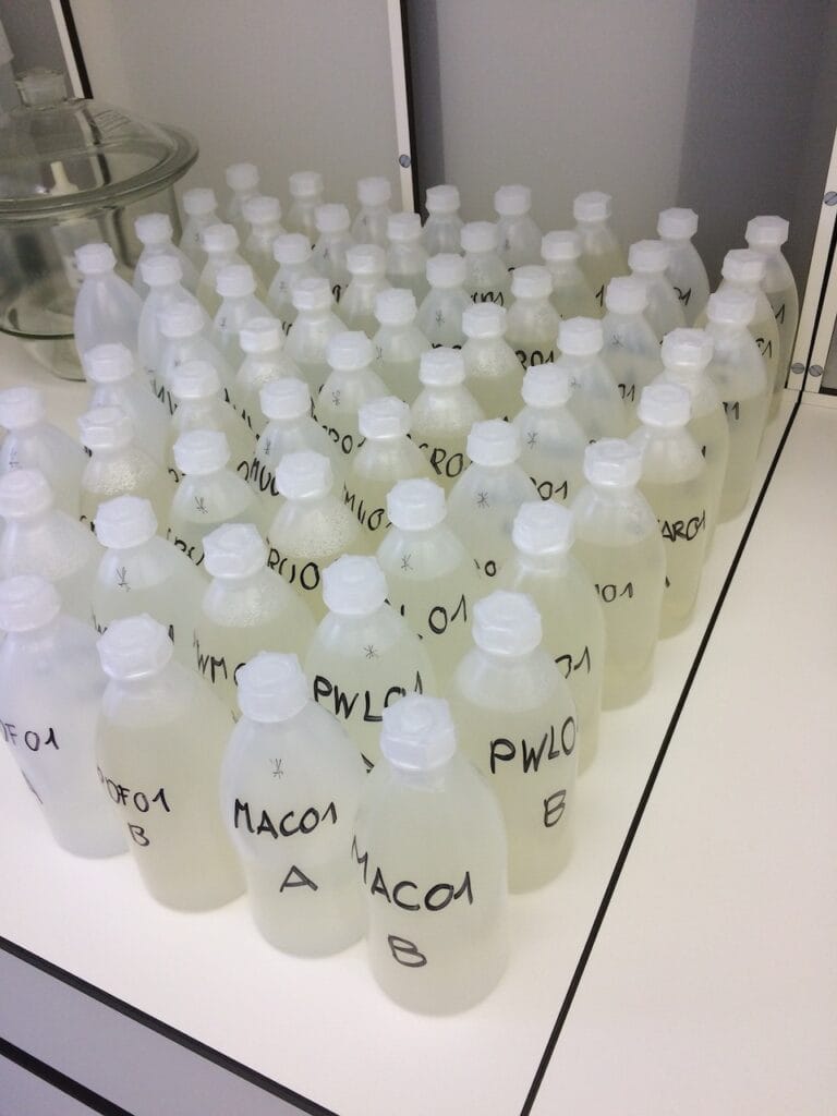saharagems meteorite classification university berne 14