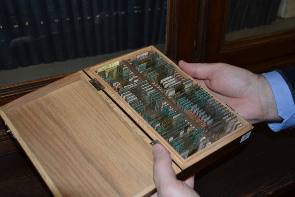 saharagems meteorite collection museum vienna 10