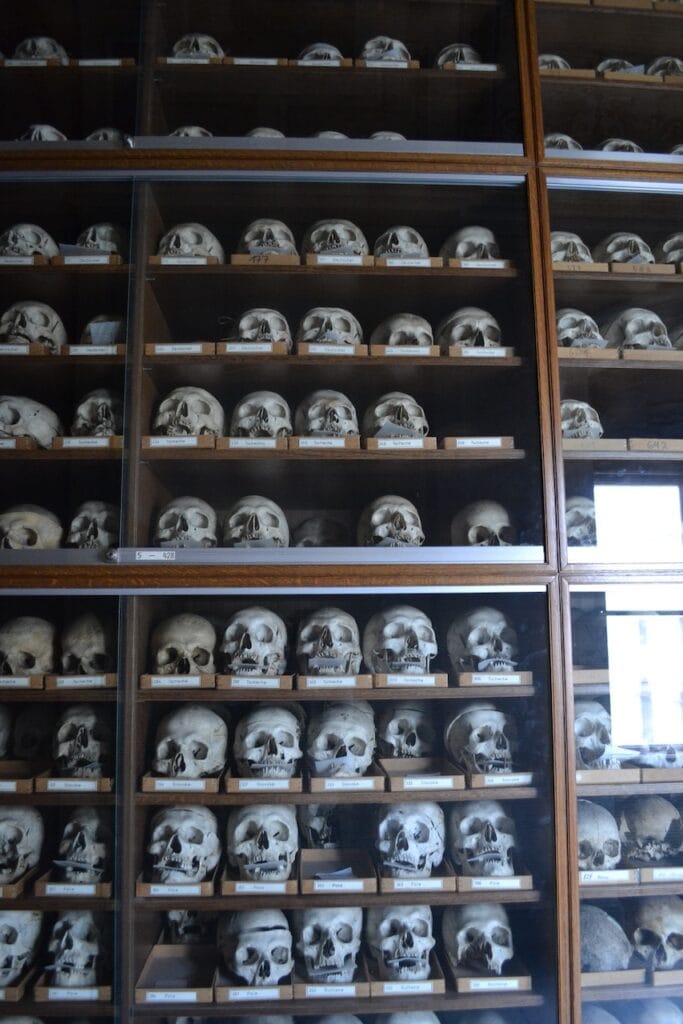 saharagems meteorite collection museum vienna 16