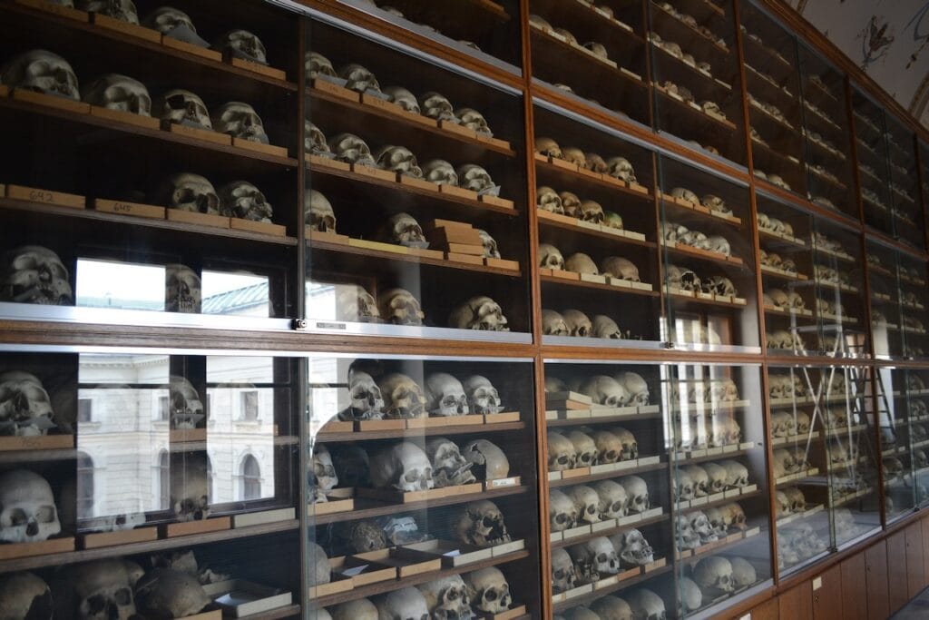 saharagems meteorite collection museum vienna 17