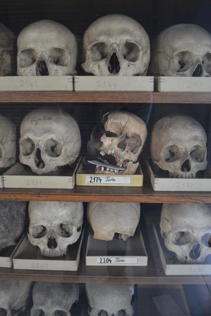 saharagems meteorite collection museum vienna 18