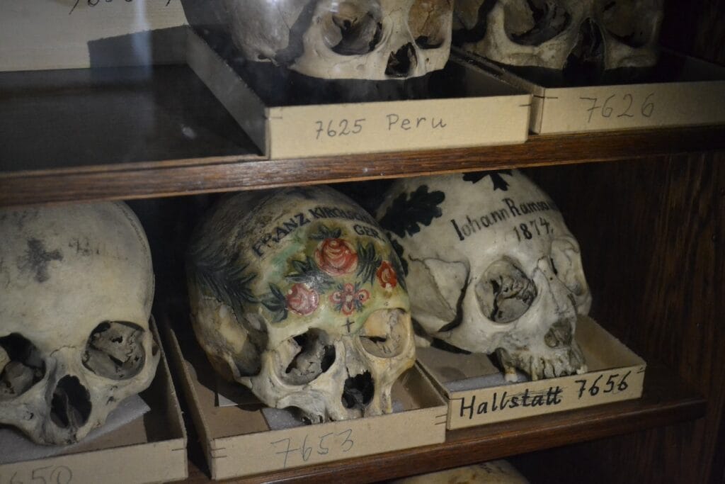 saharagems meteorite collection museum vienna 19