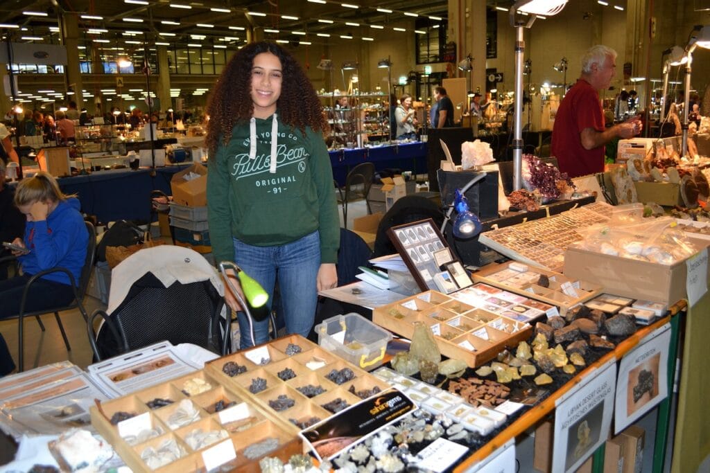 saharagems mineral meteorite shows 18