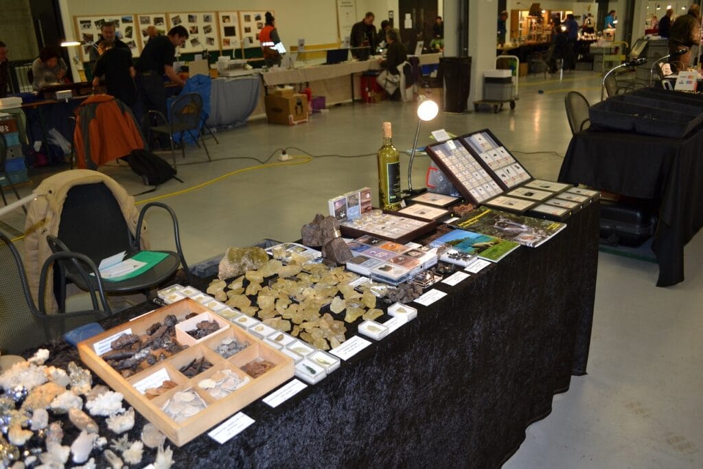 saharagems mineral meteorite shows 24