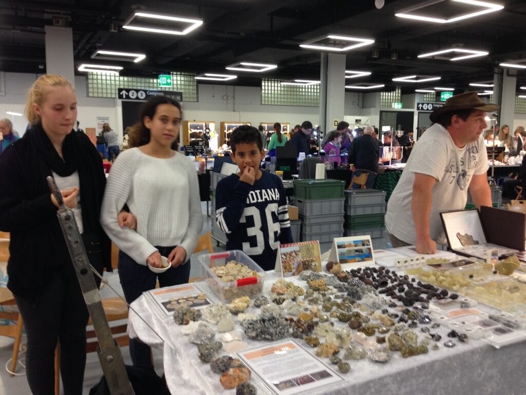 saharagems mineral meteorite shows 7