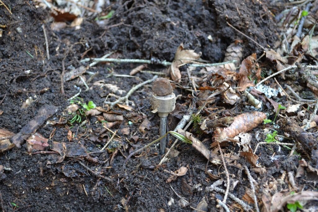 saharagems twannberg meteorite impressions 10