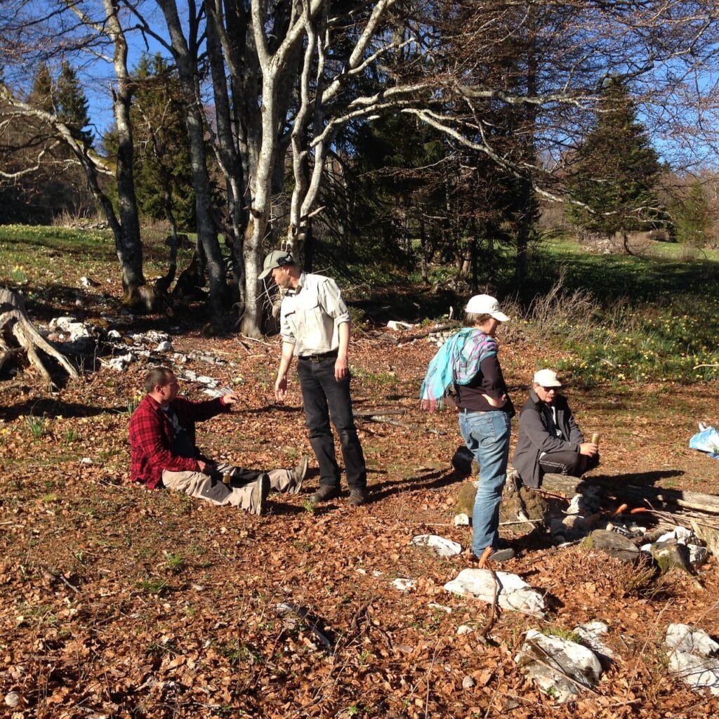 saharagems twannberg meteorite impressions 14