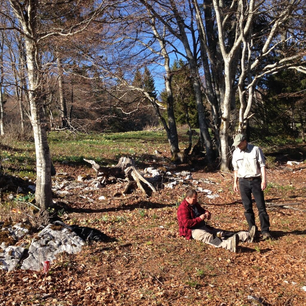 saharagems twannberg meteorite impressions 15