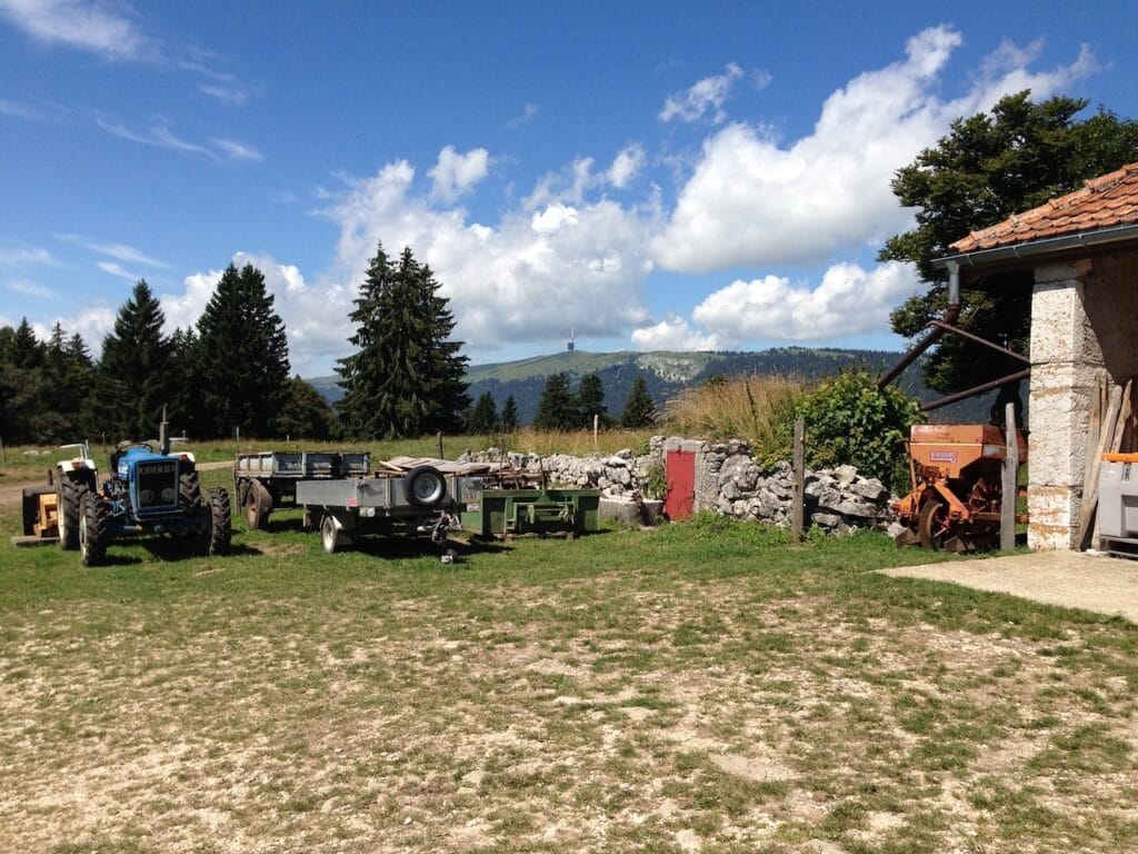 saharagems twannberg meteorite impressions 18