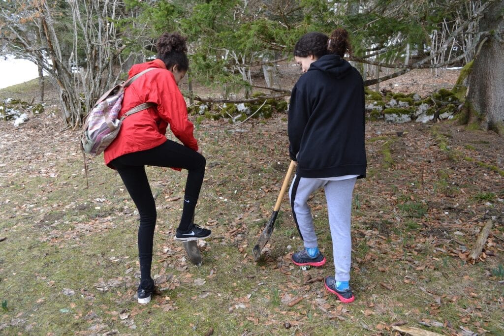 saharagems twannberg meteorite impressions 2