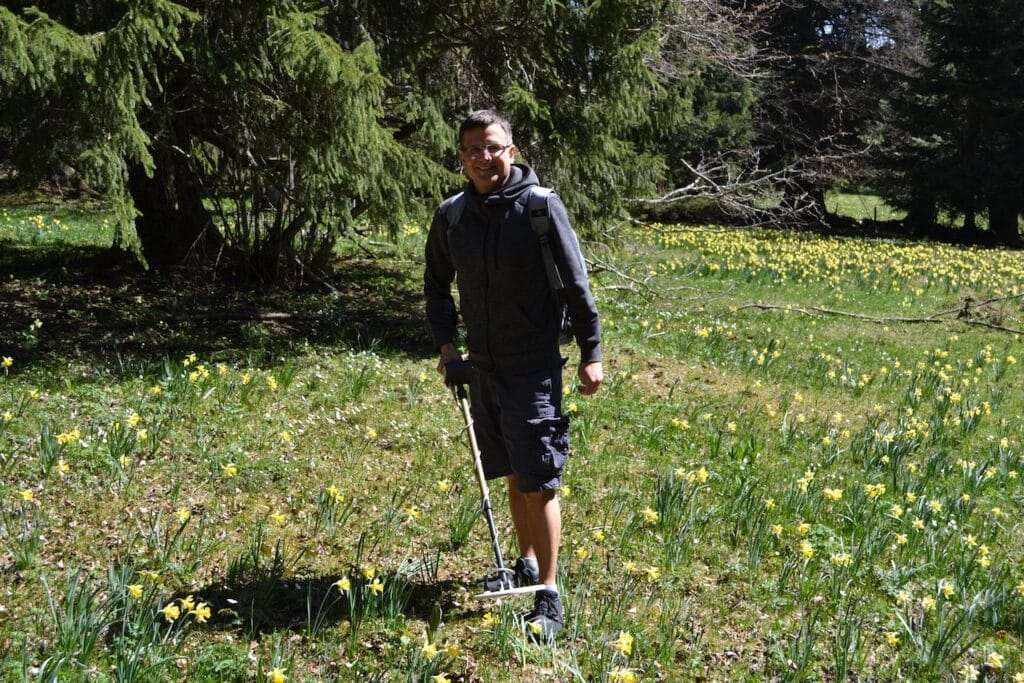 saharagems twannberg meteorite impressions 24