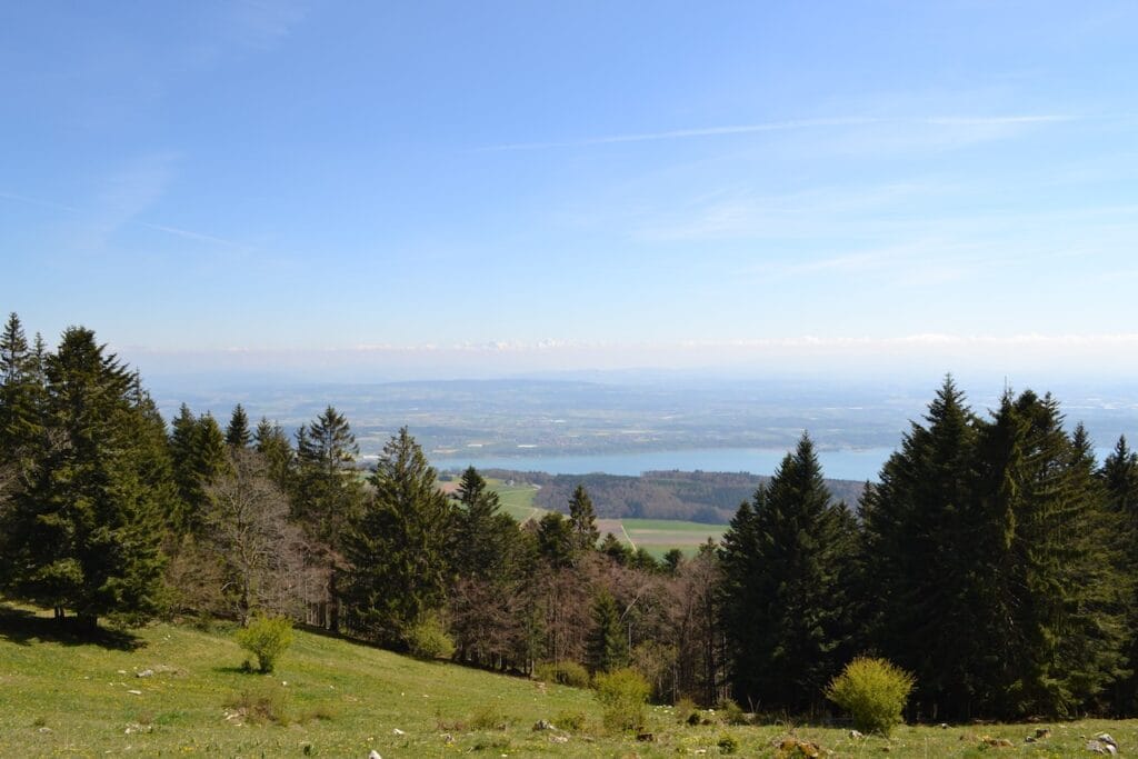 saharagems twannberg meteorite impressions 25