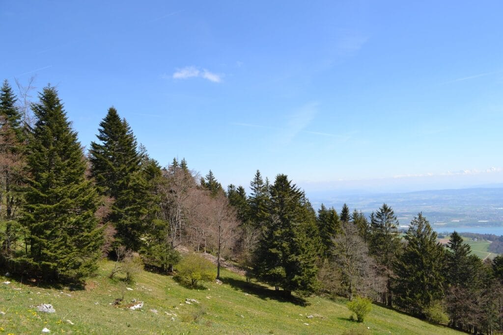 saharagems twannberg meteorite impressions 26