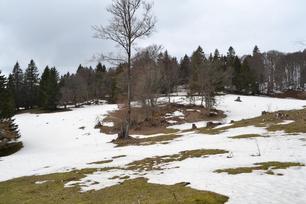 saharagems twannberg meteorite impressions 3