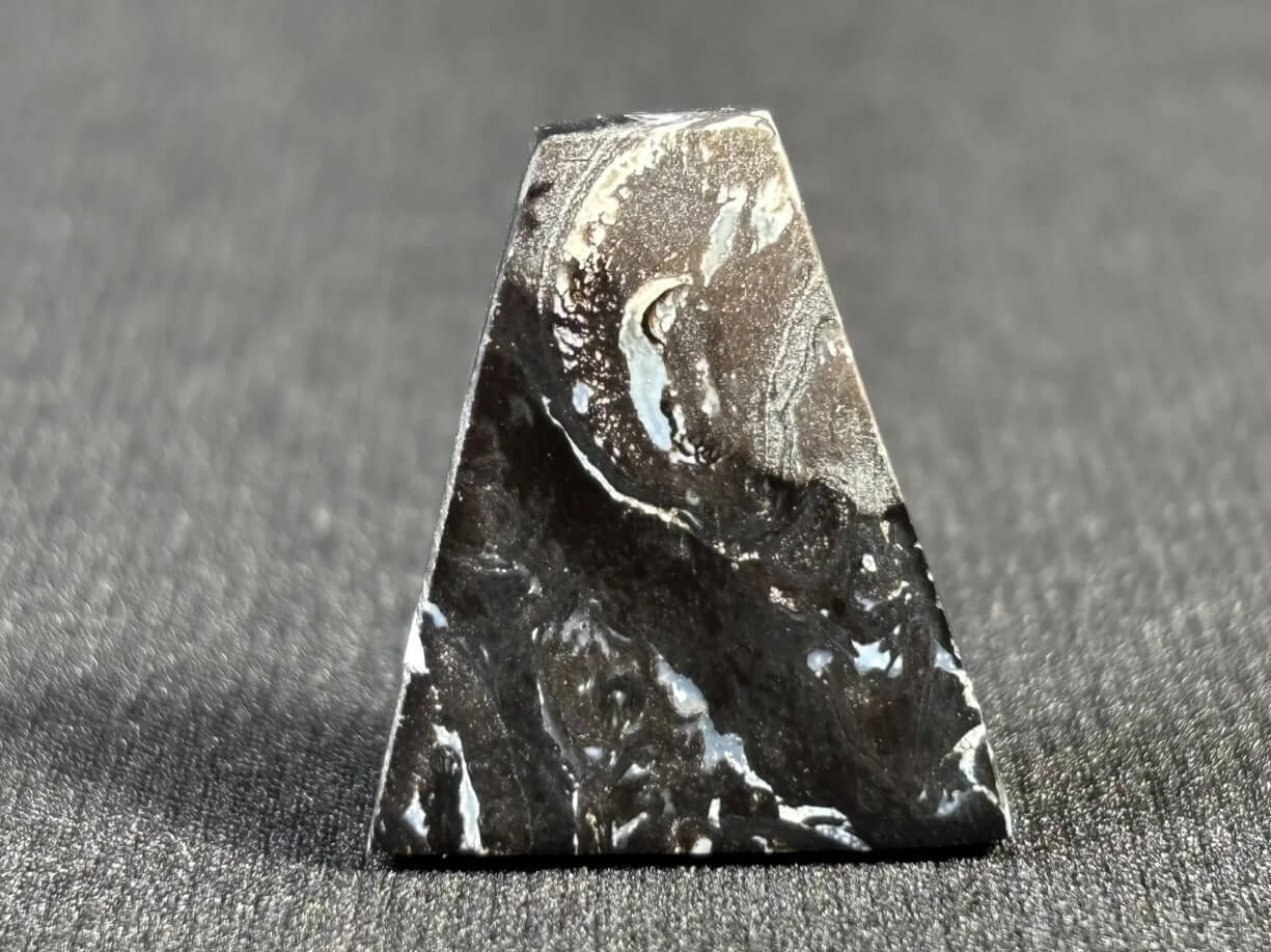 opal wood opalized for sale sahara gems worldwide