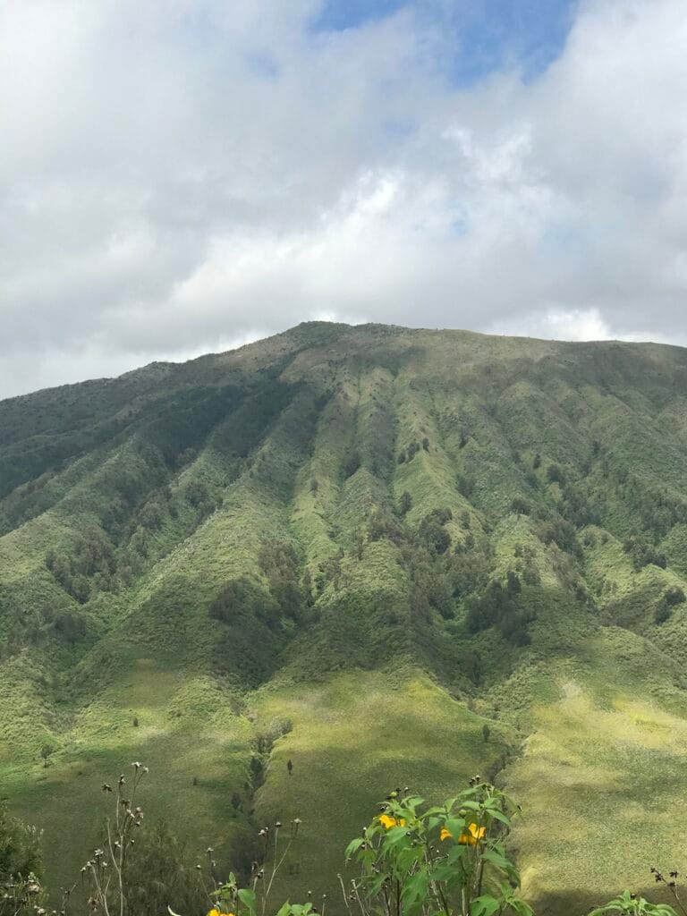 saharagems bromo volcano java indonesia 27
