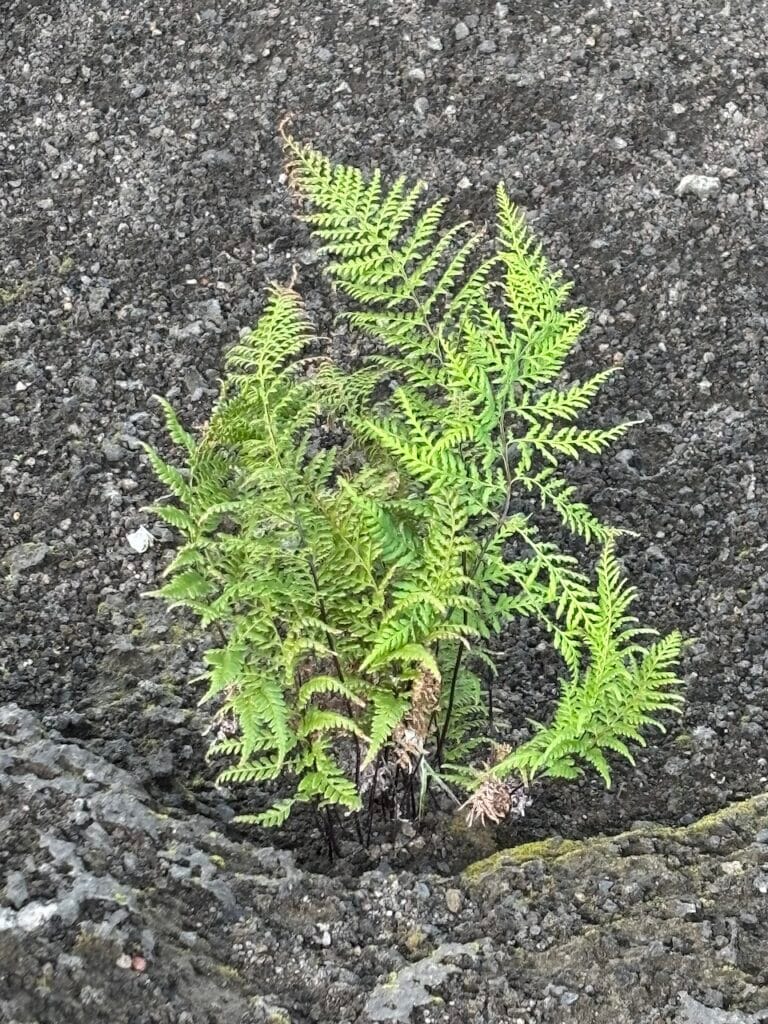 saharagems krakatau krakatoa volcano indonesia 10