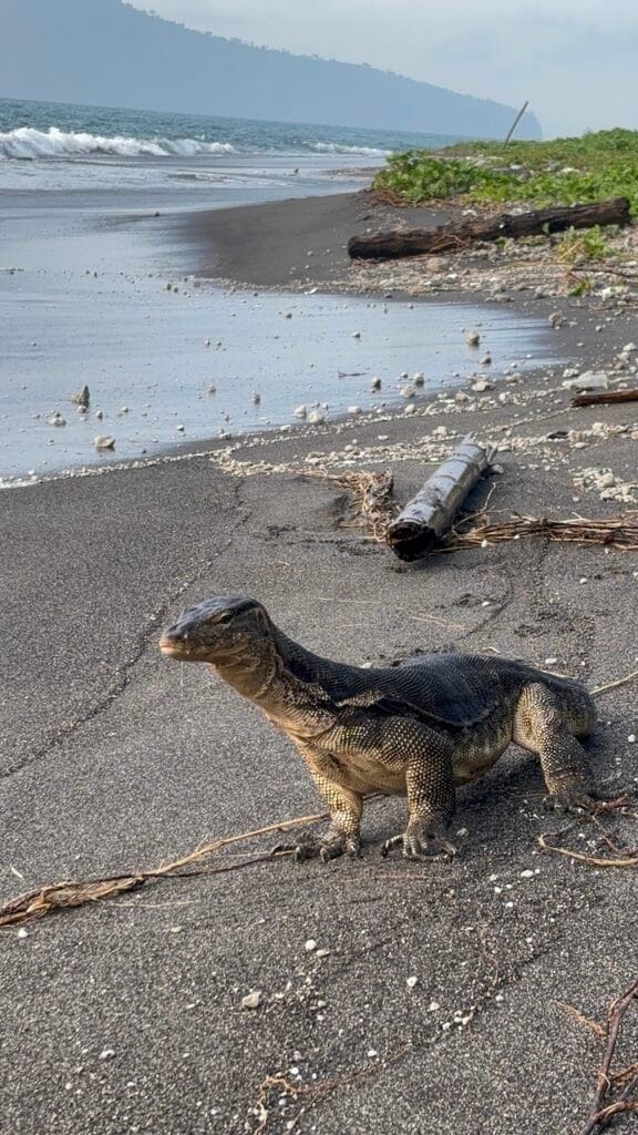 saharagems krakatau krakatoa volcano indonesia 2