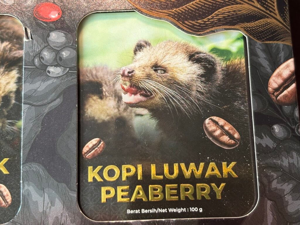 saharagems luwak coffee bali indonesia coffee11