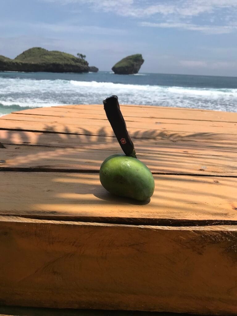 saharagems ocean villa family srau beach pacitan java 13