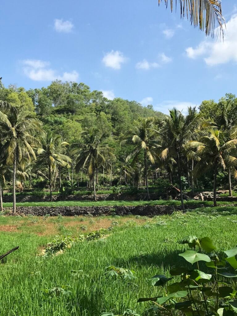 saharagems ocean villa family srau beach pacitan java 15