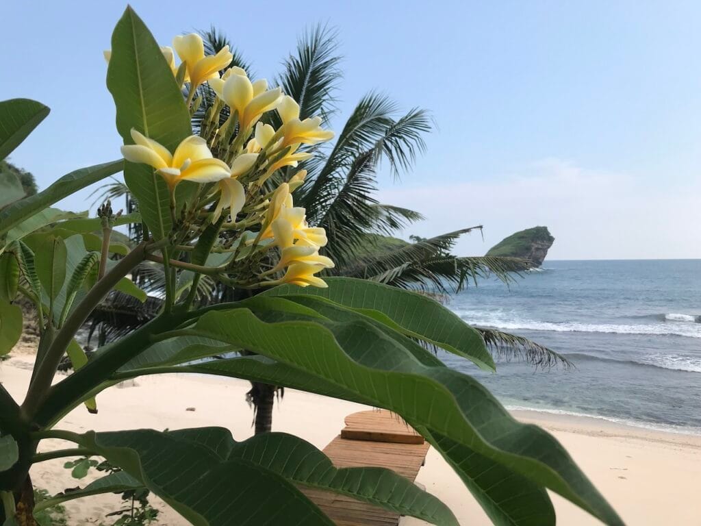 saharagems ocean villa family srau beach pacitan java 20