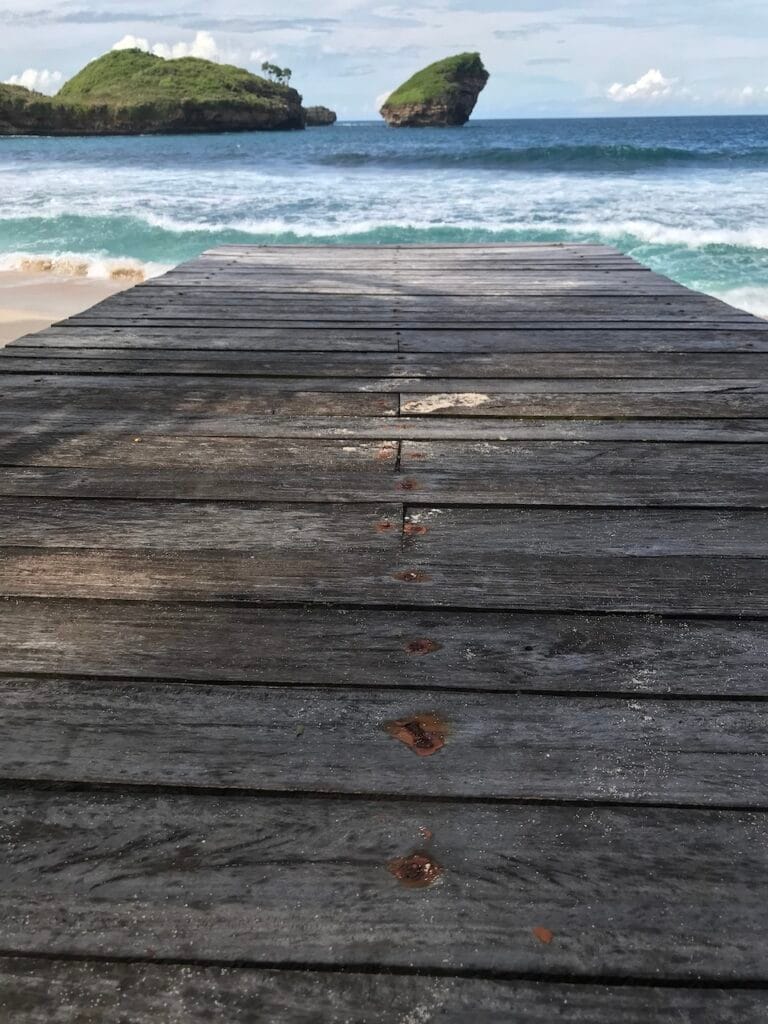 saharagems ocean villa family srau beach pacitan java 25