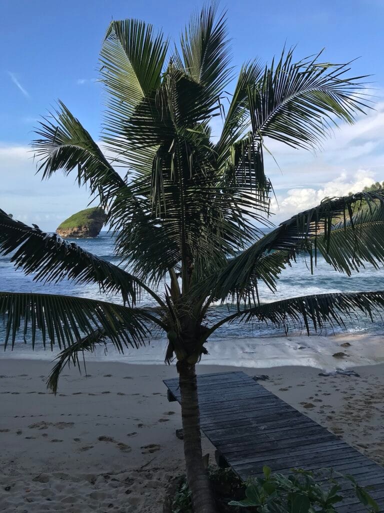 saharagems ocean villa family srau beach pacitan java 29