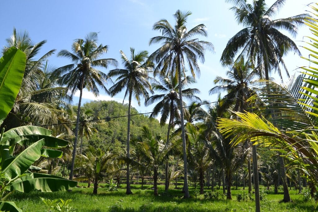 saharagems ocean villa family srau beach pacitan java 30