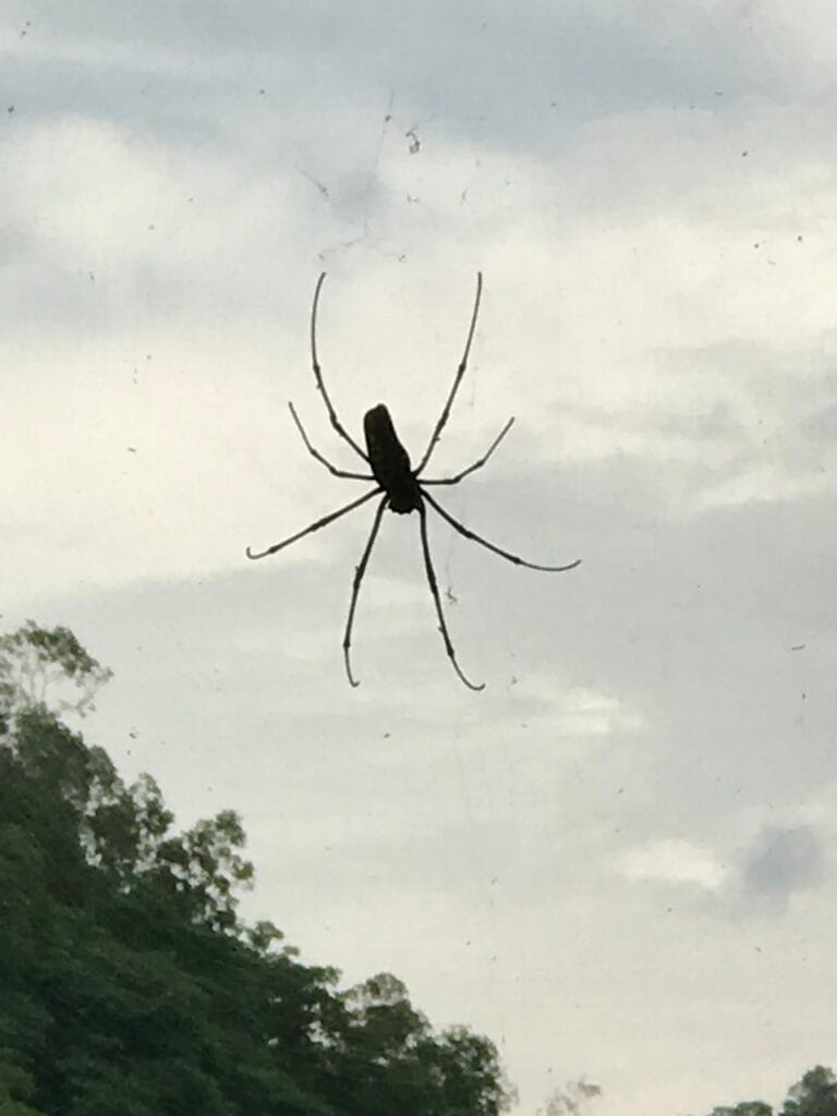 saharagems ocean villa family srau beach pacitan java 37