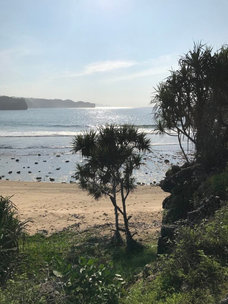 saharagems ocean villa family srau beach pacitan java 8