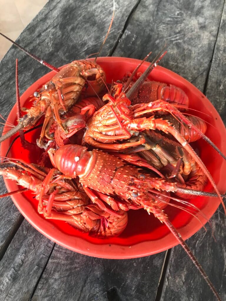 saharagems ocean villa family srau indonesian food seafood 6