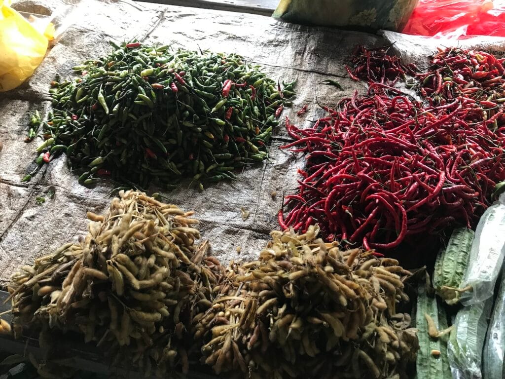 saharagems ocean villa family srau village life java 4