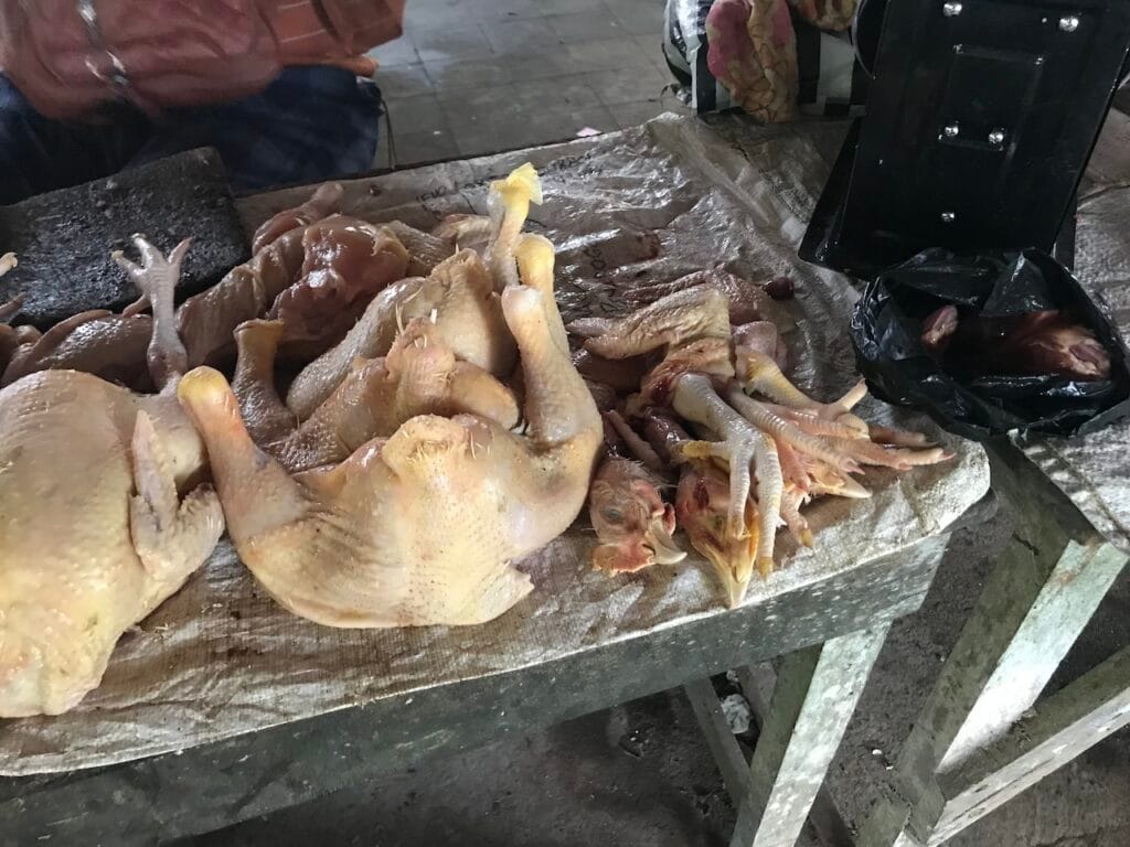 saharagems ocean villa family srau village life java 5