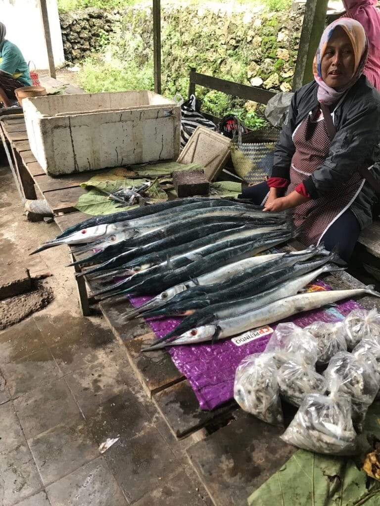 saharagems ocean villa family srau village life java 7