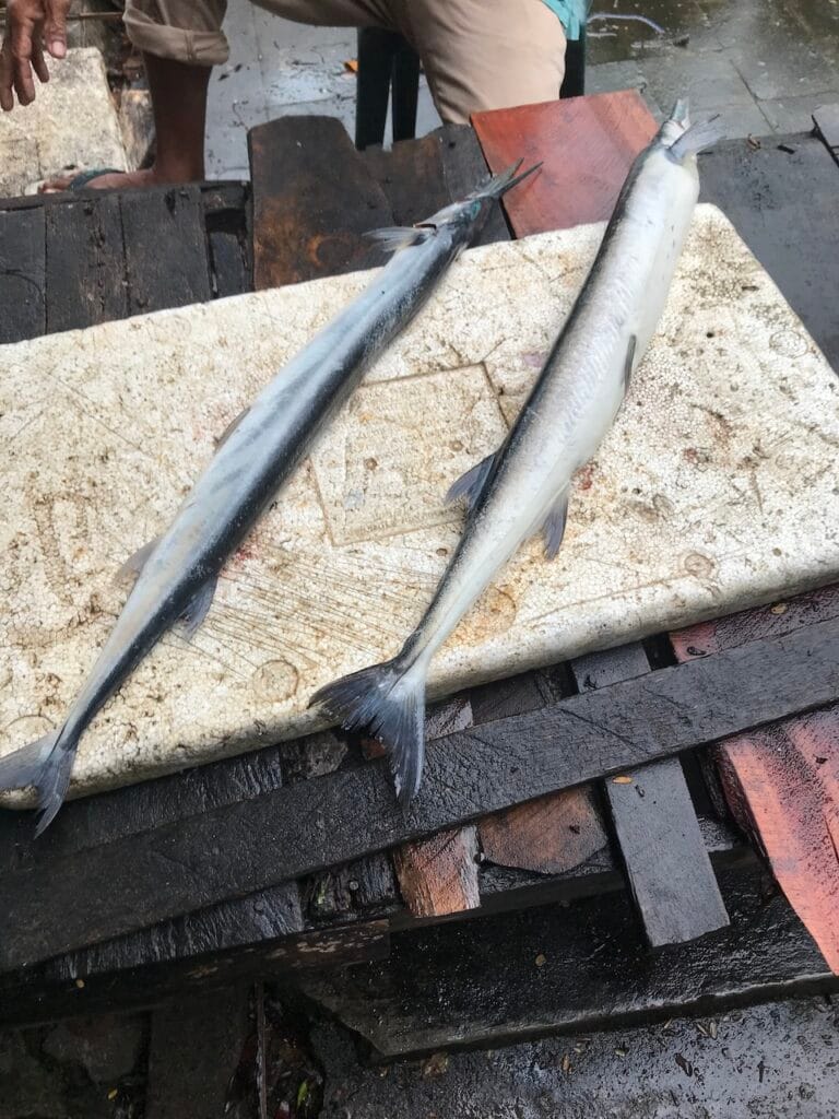 saharagems ocean villa family srau village life java 9