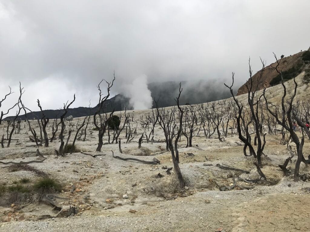 saharagems papandayan volcano sulfur java indonesia 17