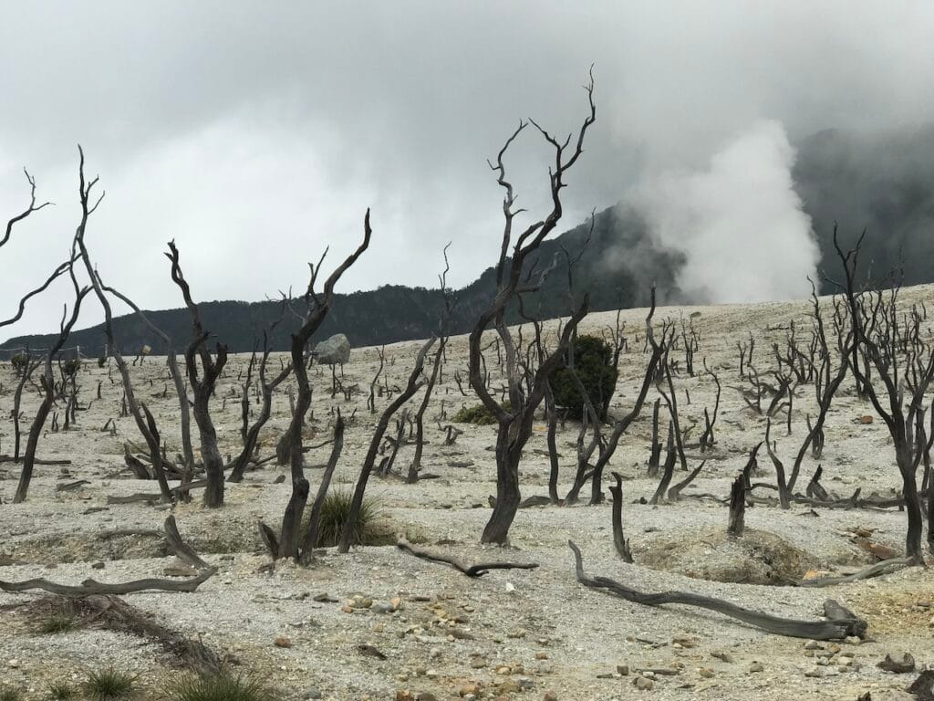 saharagems papandayan volcano sulfur java indonesia 18