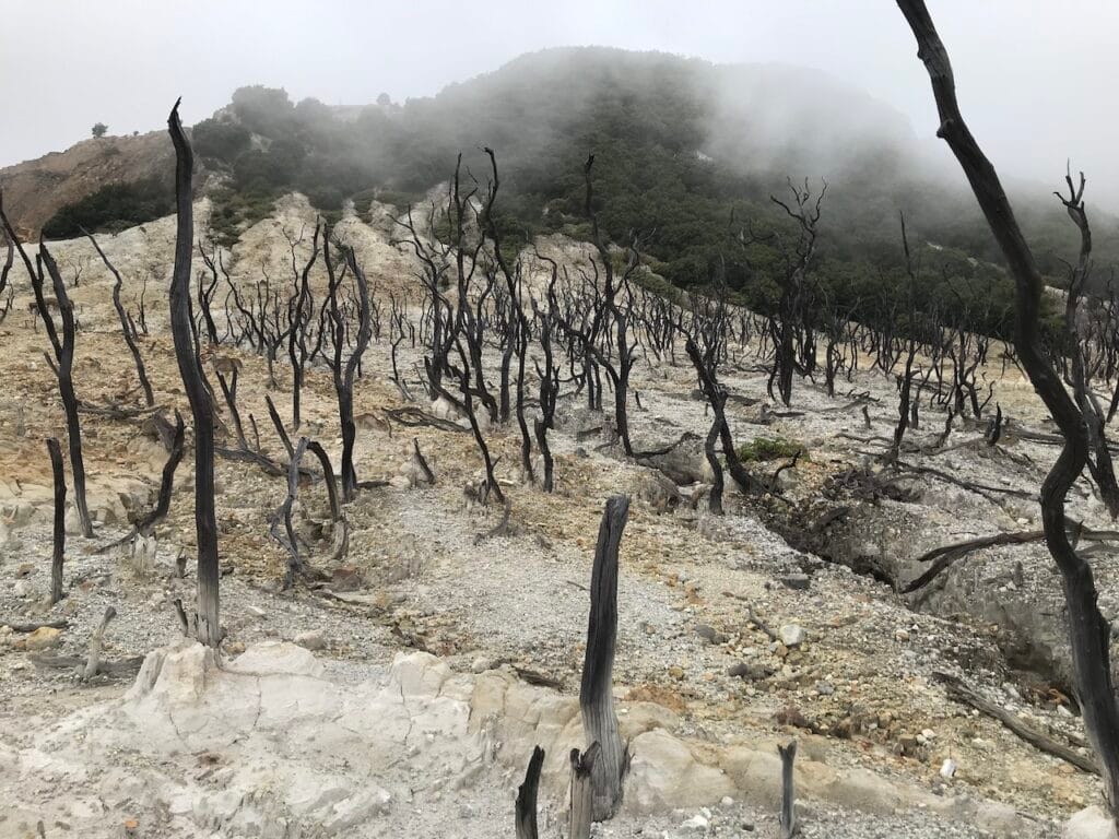 saharagems papandayan volcano sulfur java indonesia 20