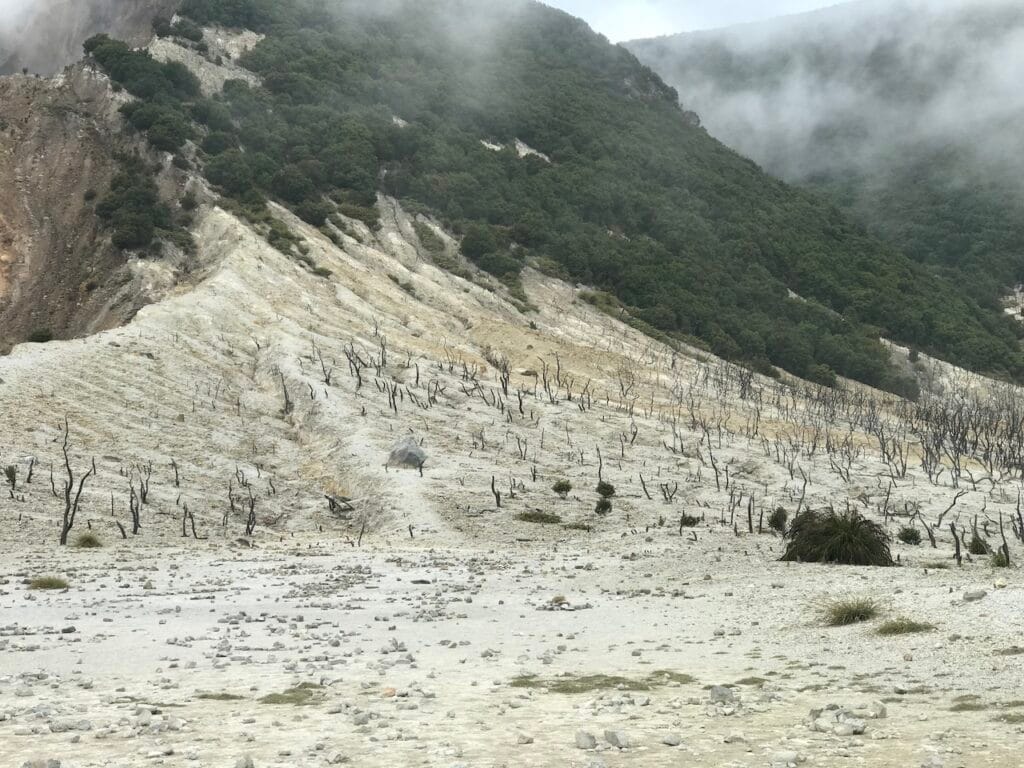 saharagems papandayan volcano sulfur java indonesia 22